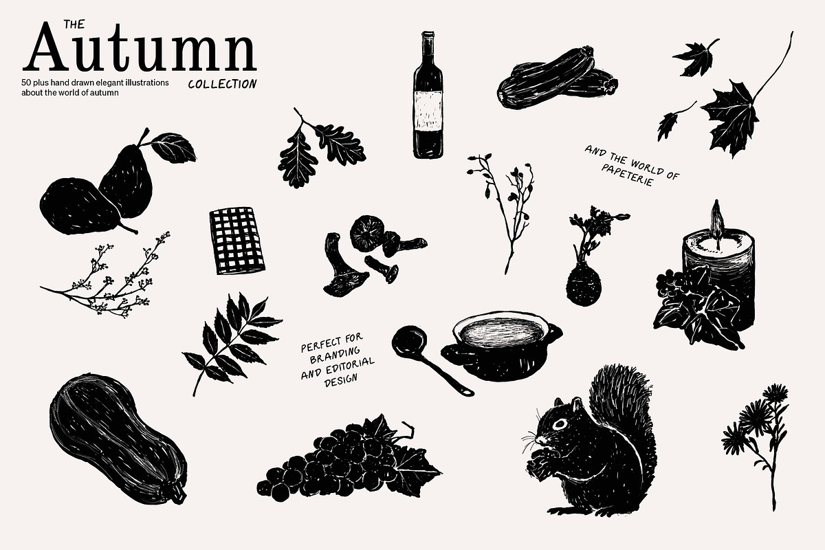 The Autumn Collection Illustrations, an Illustration by dicreate (Photo 2 of 15)