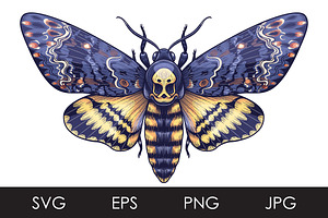 Death's-Head Hawk Moth