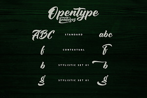 Sounding - Handlettering Script Font