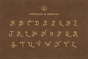 The Brewski - Textured Typeface, a Sans Serif Font by Kaligra.co (Thumbnail 7 of 9)