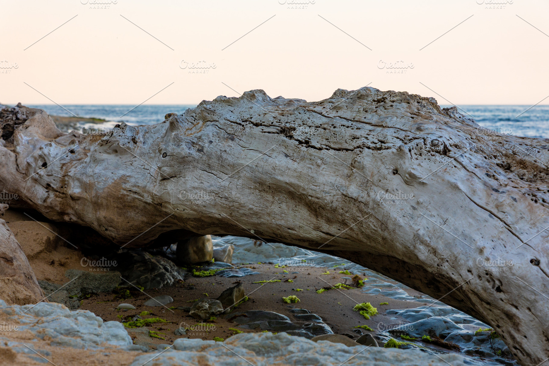 Large piece of driftwood rests on a rocky sandy beach, with gentle waves and so, a Background Photo by Ales Munt