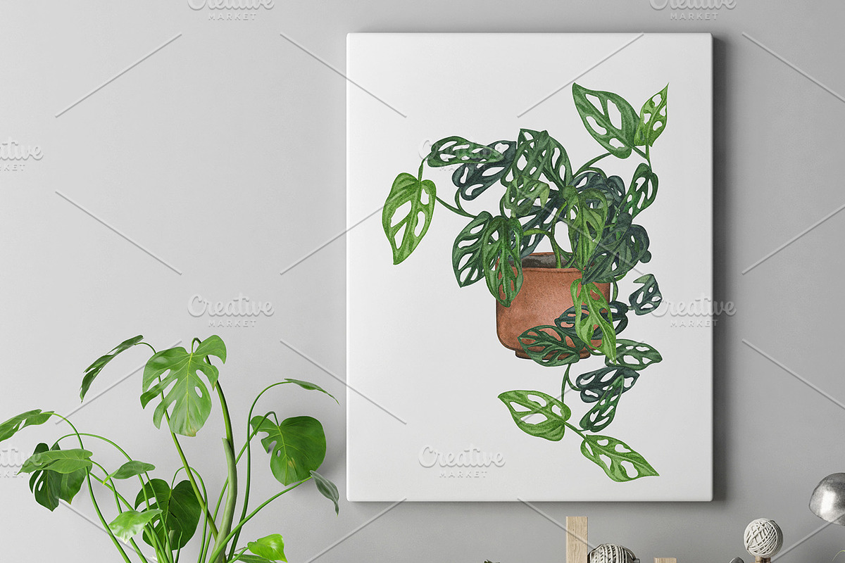 Potted Plants Watercolor clipart, an Object Illustration by BarvArt (Photo 6 of 8)