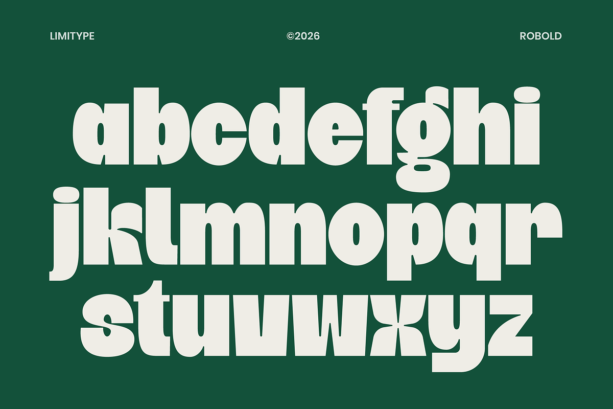 Robold - Bold Display Font, a Sans Serif Font by limitype (Photo 9 of 12)