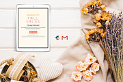 Three Autumn Sales Emails, an Email Template by Khryna Designs (Thumbnail 4 of 4)