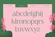 Jaella - Modern Serif Font, a Serif Font by creativemedialab (Thumbnail 12 of 15)