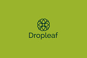 Dropleaf – Modern Nature Logo Design, a Branding & Logo Template by arhabib (Thumbnail 11 of 13)