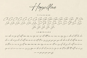 Hayollan Signature Script, a Script Font by alit design (Thumbnail 9 of 15)