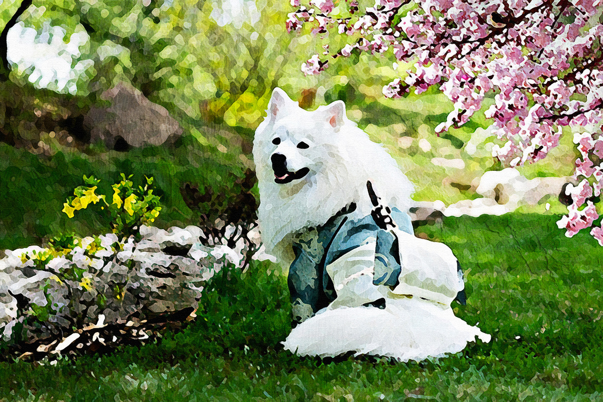 Oil Painting Effect Photoshop, an Action Add-On by liptouse (Photo 5 of 10)