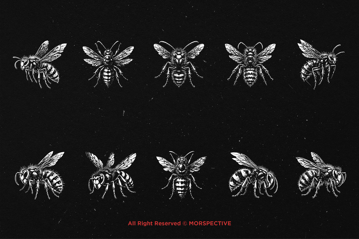 10 Bundle Dark Art Wasp Insect Skull, an Illustration by Morspective (Photo 6 of 7)