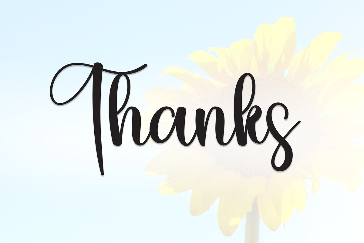 Sunflower | Script Font, a Handwritten Font by Scratchones (Photo 8 of 8)
