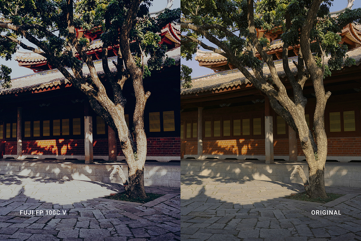 Fuji FP 100C V, a Preset Add-On by colorituals (Photo 7 of 9)