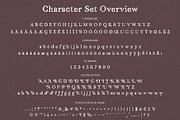 Persephone // A Hand-Drawn Serif, a Serif Font by Megs Lang (Thumbnail 24 of 25)