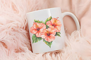 Hibiscus Flower Watercolor ClipArt's, an Illustration by RobertsArt (Thumbnail 7 of 7)