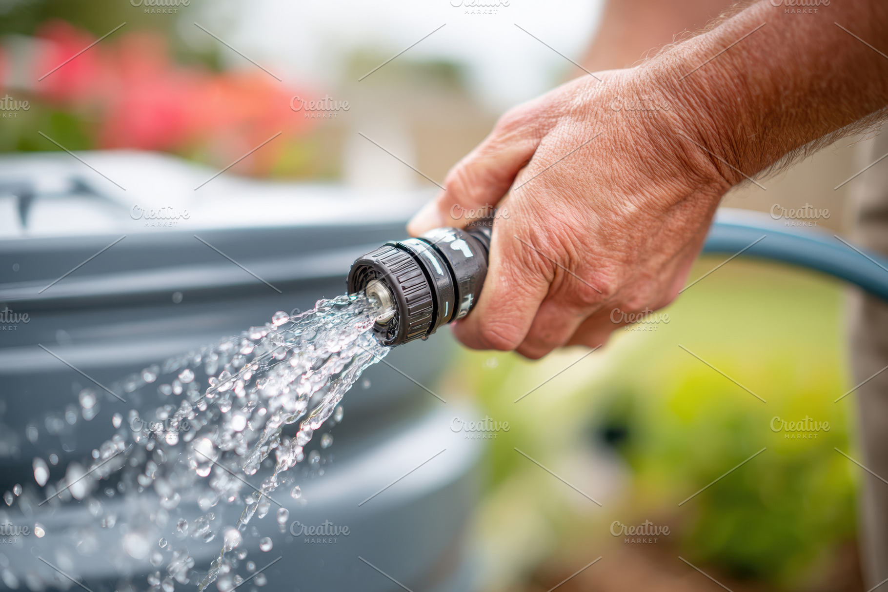 Hand watering plants with a garden hose, a Nature Photo by AlyaAnd