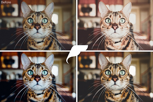 50 Pet Lightroom Presets Vol. I