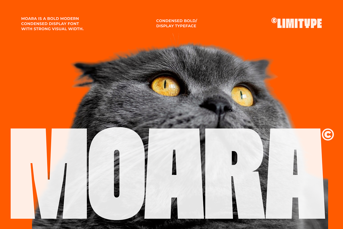 Moara - Bold Condensed Font, a Sans Serif Font by limitype (Photo 1 of 13)