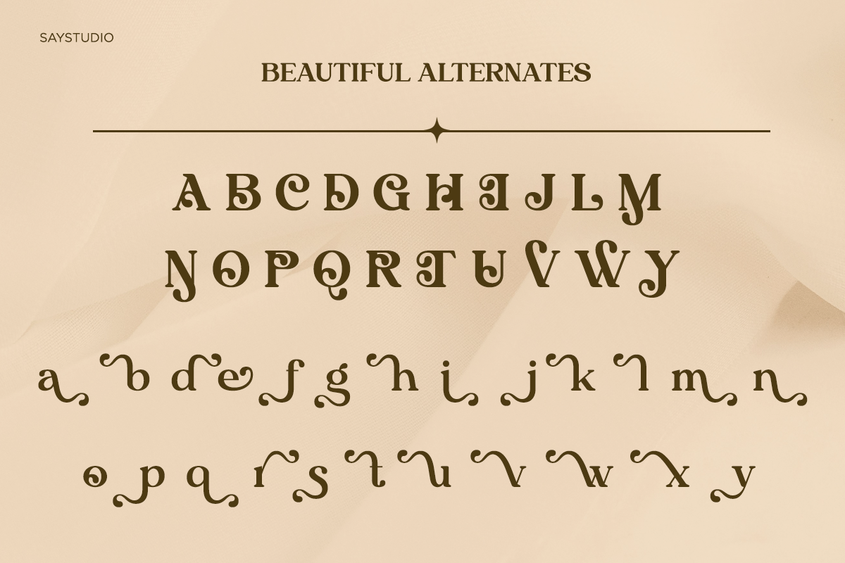 Algirae - Modern Ornamental Serif, a Serif Font by Say Studio (Photo 9 of 10)