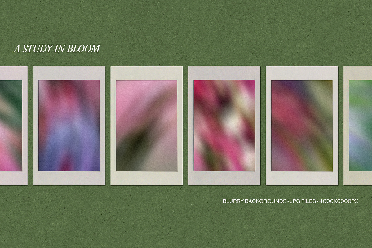 Etudes in Bloom - Blurry Backgrounds, a Background Graphic by Dina Mae (Photo 10 of 13)