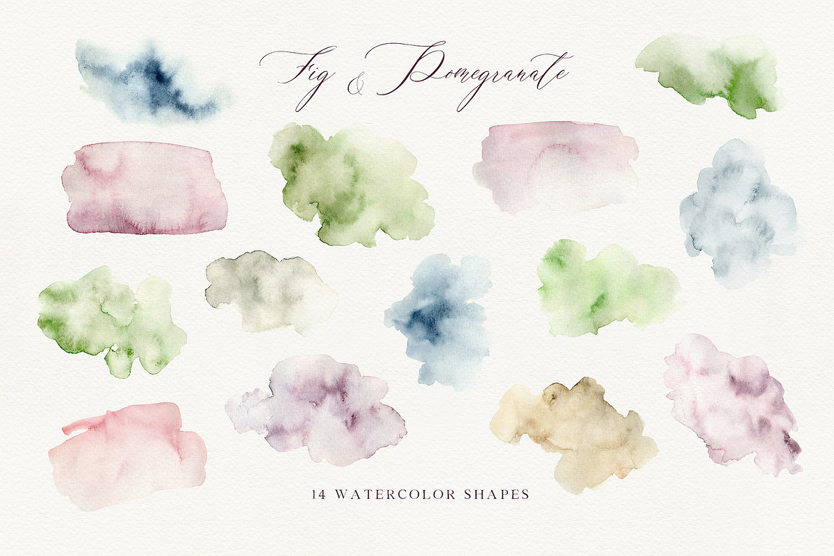 FIG & POMEGRANATE watercolor/pencil, a Decorative Illustration by long summer (Photo 14 of 14)