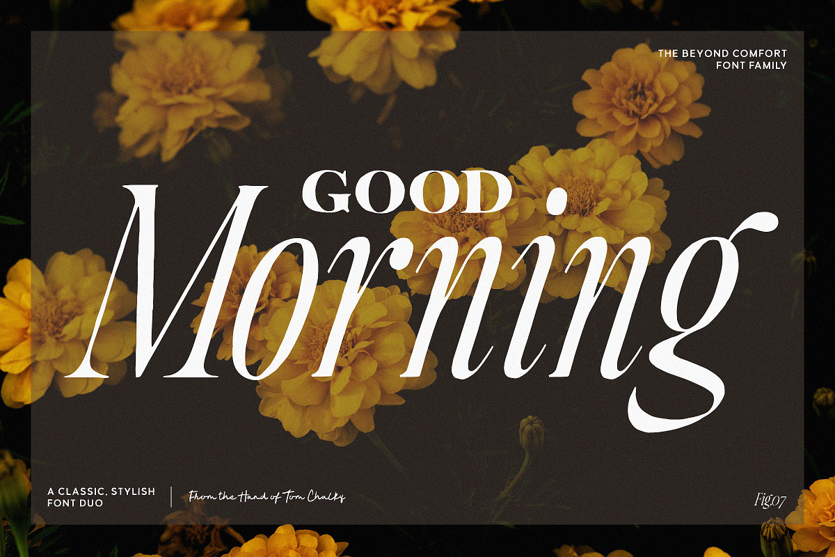 Beyond Comfort - Classy Font Duo, a Serif Font by Tom Chalky (Photo 7 of 13)
