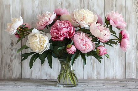 Fresh bouquet of peony flowers in vase on wooden background, a Nature Photo by AlyaAnd