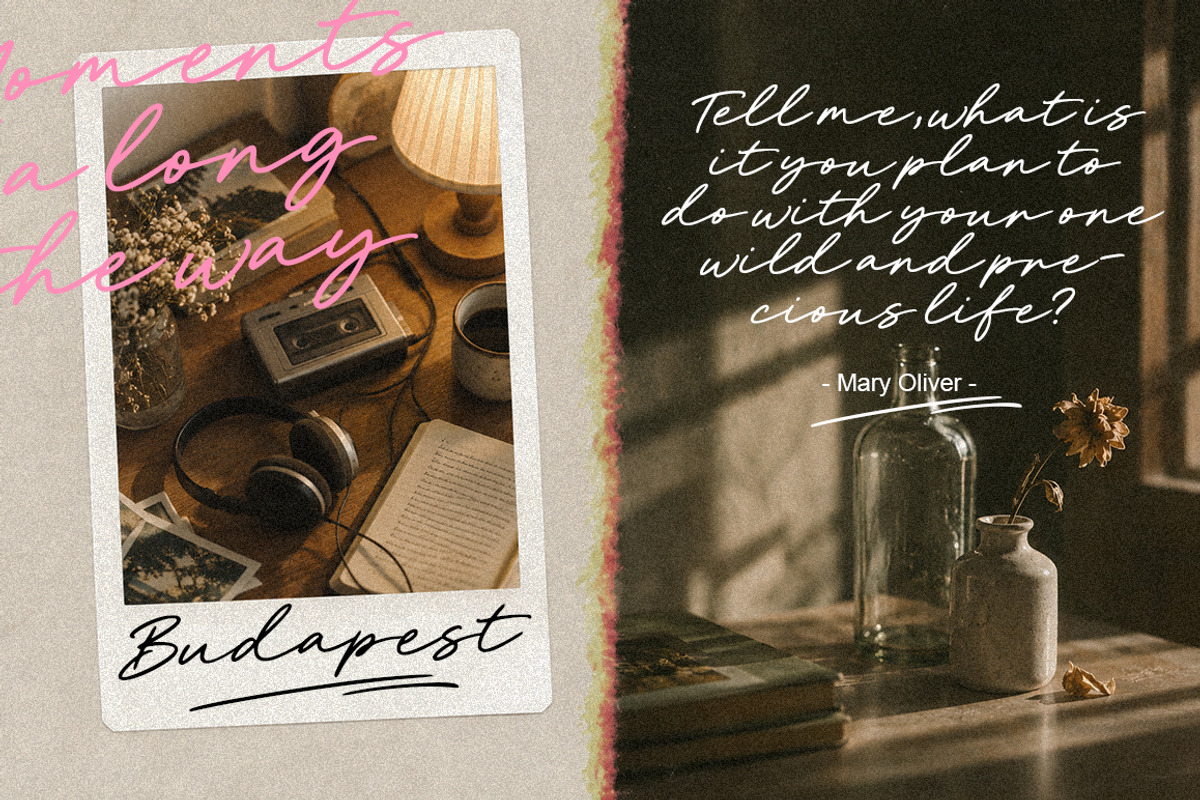 Prague | 02 Font with Swash, a Script Font by Metasena Typefoundry (Photo 2 of 10)