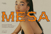 Plateau Font, a Font by Sparrow & Snow (Thumbnail 14 of 15)