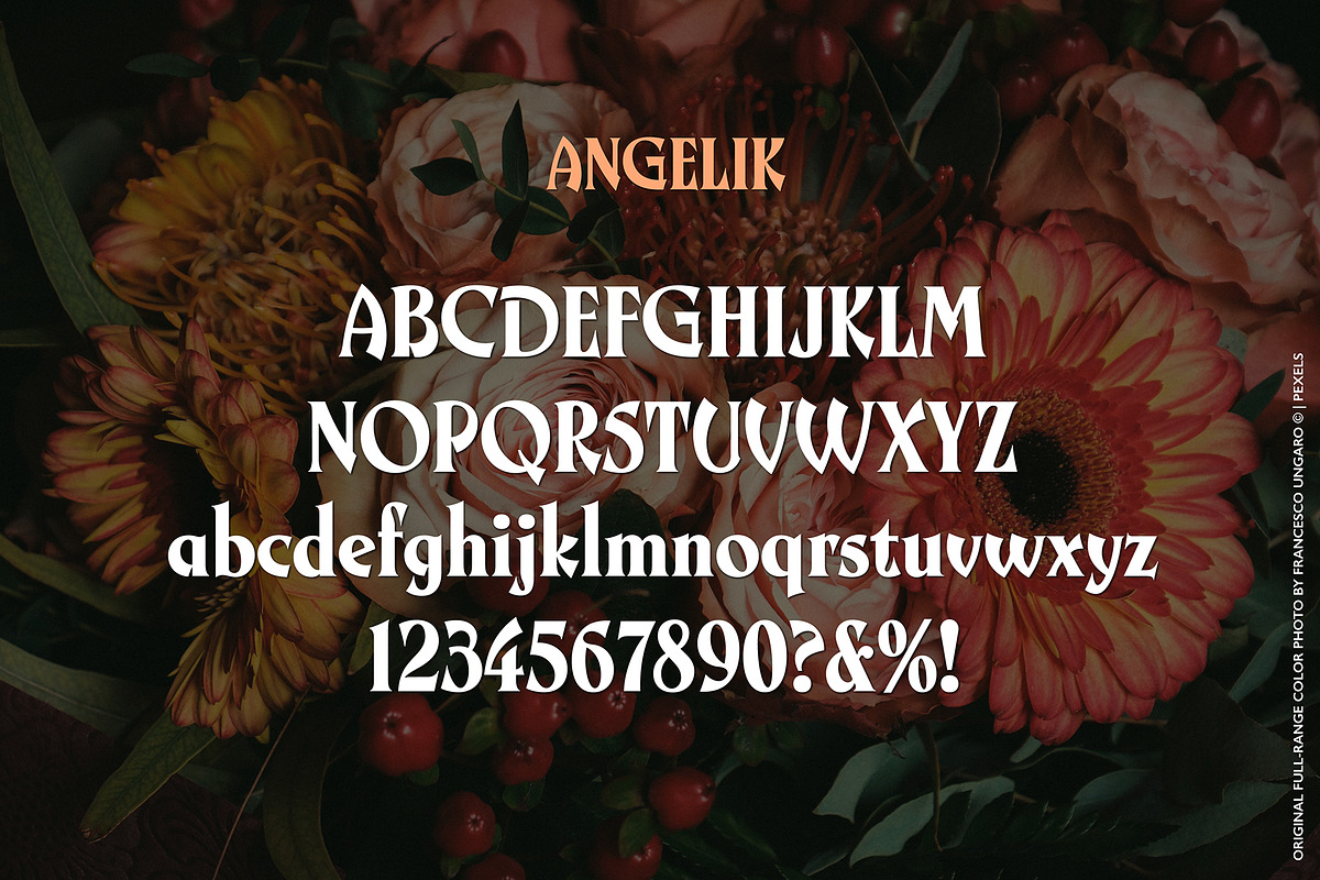 Angelik Font, a Serif Font by Mysterylab Designs (Photo 2 of 9)