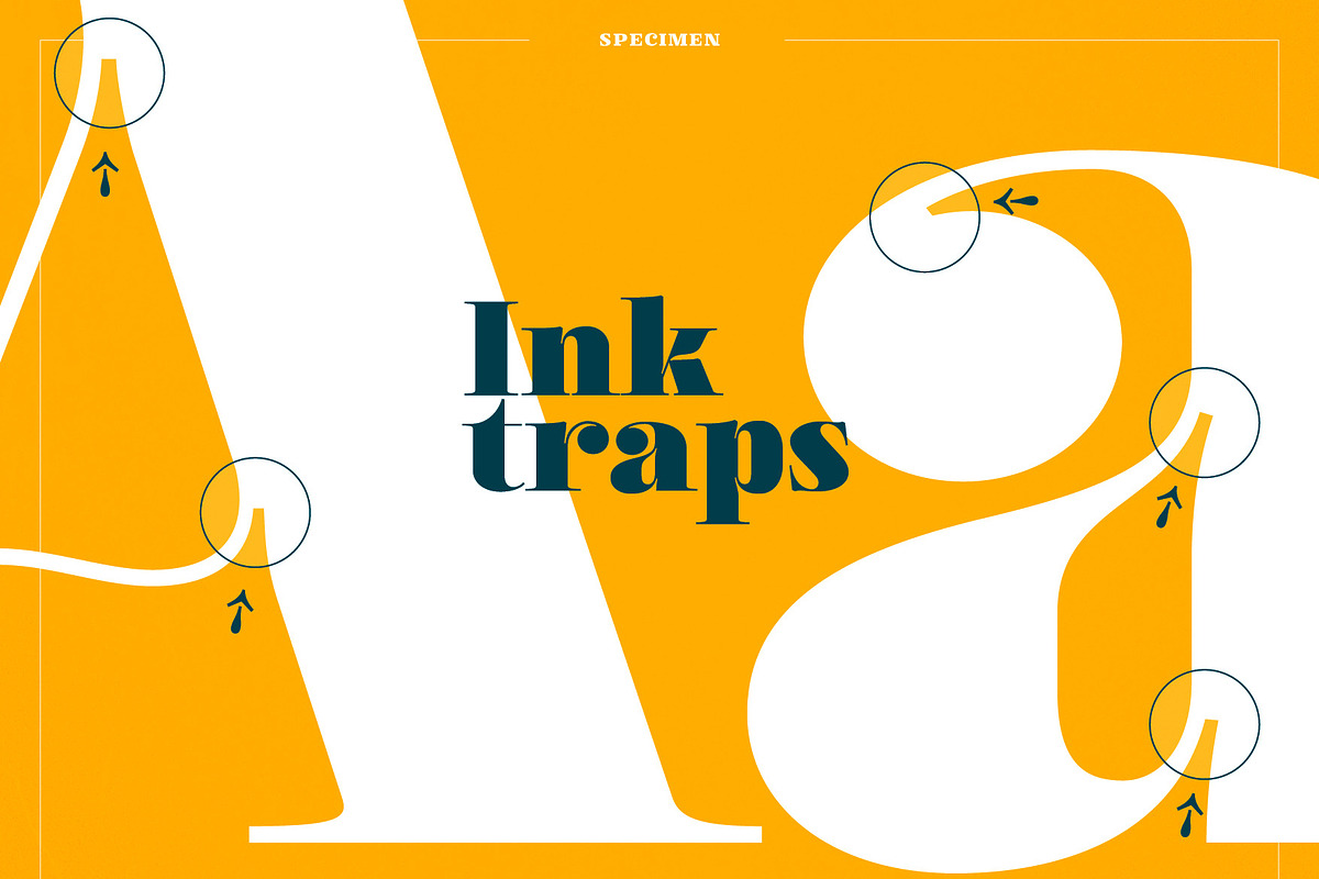 XXII Elissa, a Serif Font by Doubletwo Studios (Photo 19 of 25)