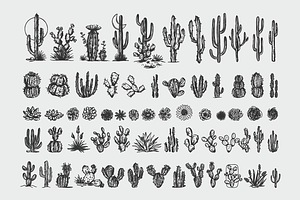 Desert Cacti Flora Graphics