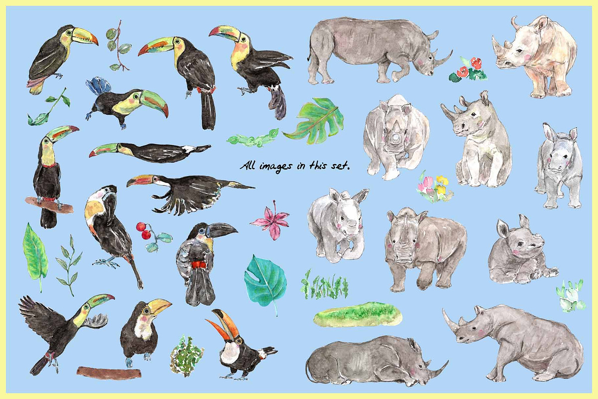 Rhino & Toucan-Watercolor Clipart, an Illustration by VianneArt (Photo 2 of 7)