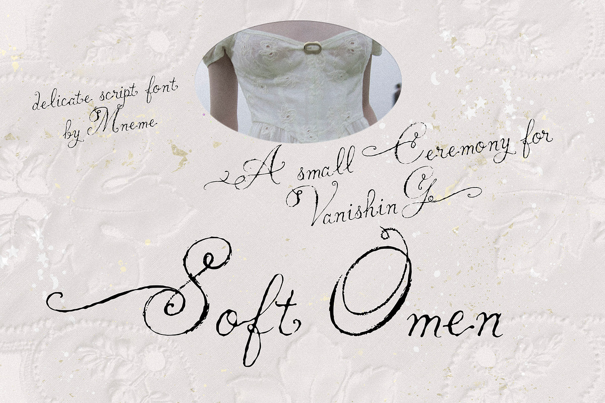 Soft Omen: Delicate Script Font, a Script Font by Mneme (Photo 1 of 9)