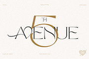 TAN - The Whistling, a Serif Font by TanType (Thumbnail 5 of 35)