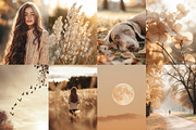 115 Autumn Fall Styled Stock Photos, a Beauty & Fashion Photo by Allure Art (Thumbnail 4 of 30)