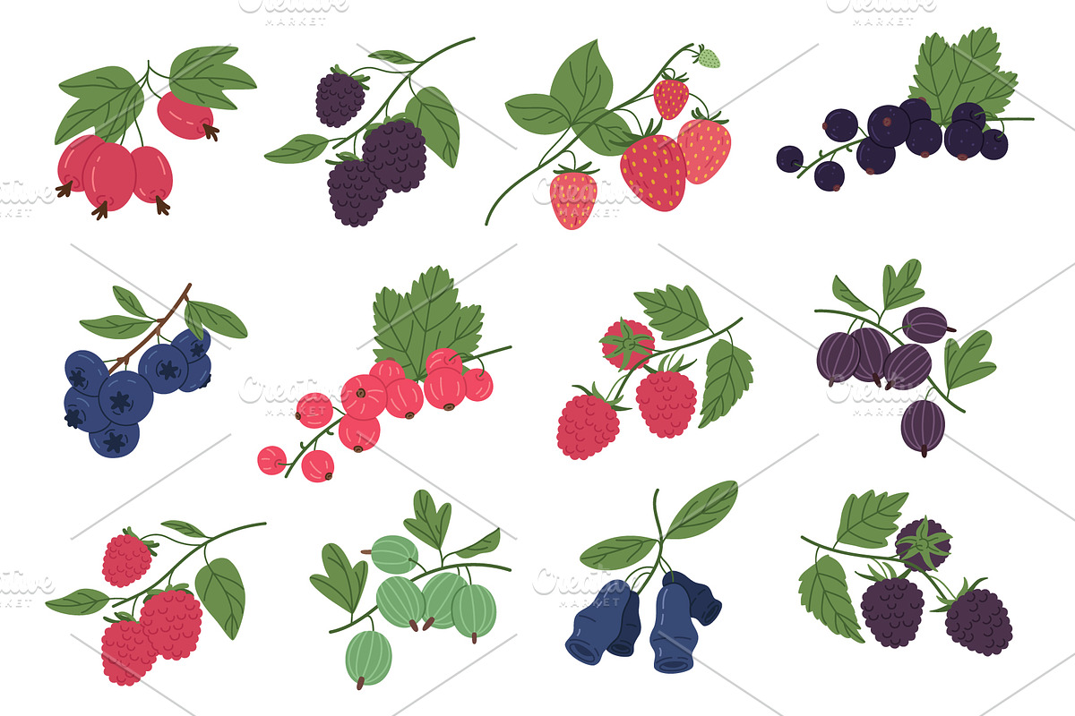 Ripe delicious berries, a Food Illustration by Torontotokio (Photo 2 of 5)