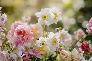 Colorful blooming garden flowers creating a soft, ethereal flora, a Photo by Studio ANNA