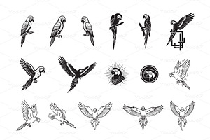 Vector of parrots in various poses, an Animal Illustration by yod67