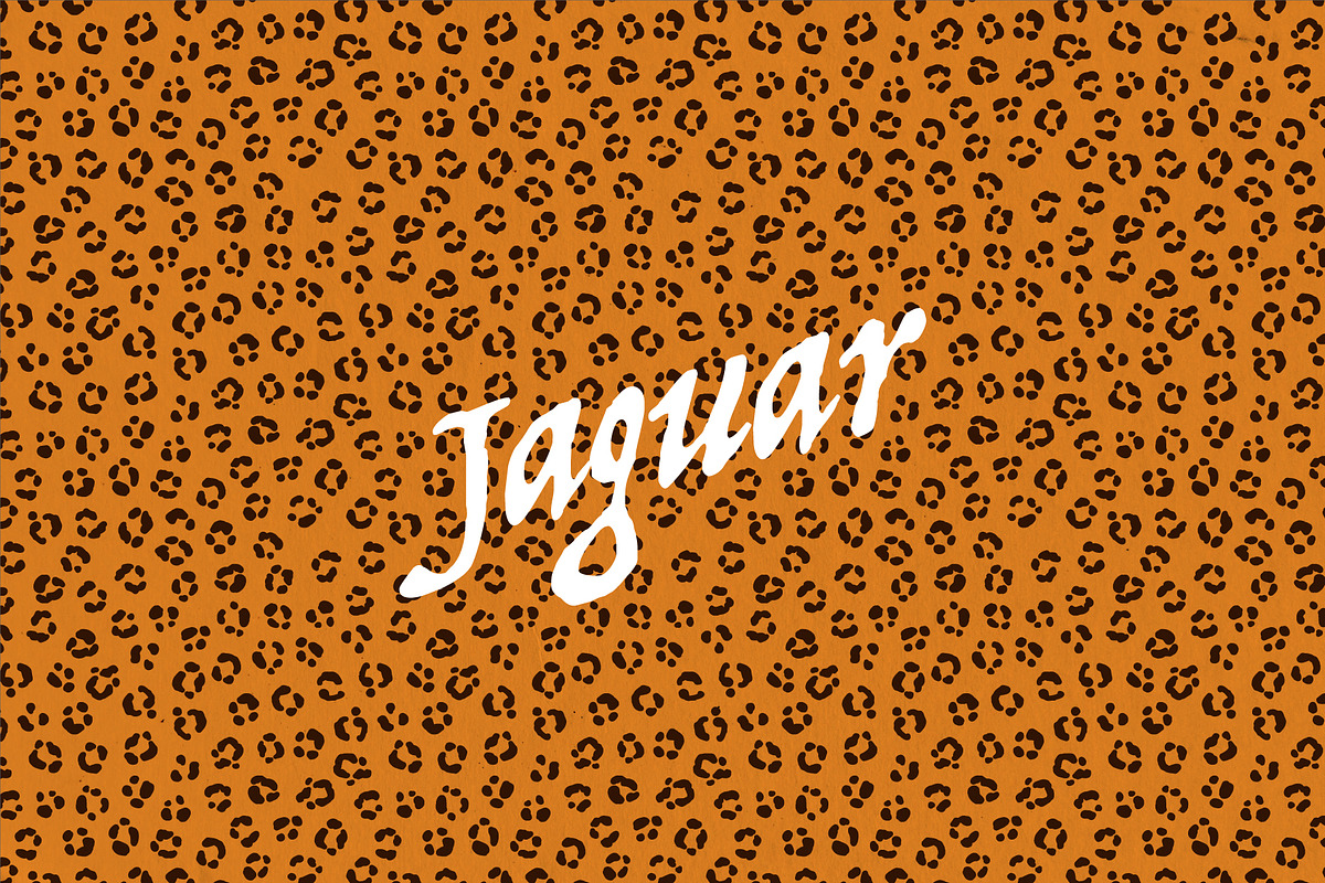 12 Animal skin patterns, a Pattern Graphic by Arthur Balitskiy (Photo 4 of 5)