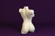DIY Female torso 3D model template, a Presentation Template by PolyFish (Thumbnail 4 of 6)