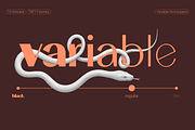 TA Solivare Variable, a Sans Serif Font by TAFT Foundry (Thumbnail 11 of 15)