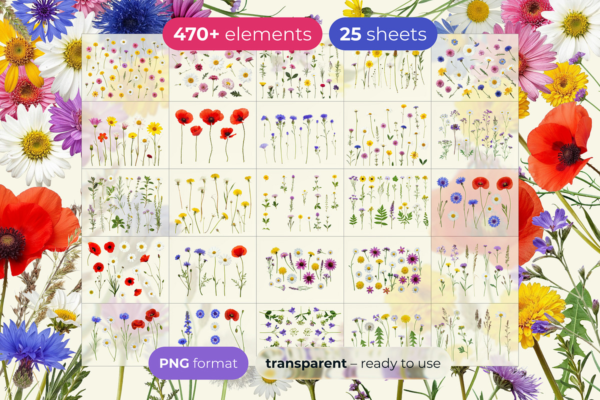 Meadow Flowers & Plants PNG Pack, an Object Graphic by Tomasz Ostrowski Design (Photo 2 of 3)