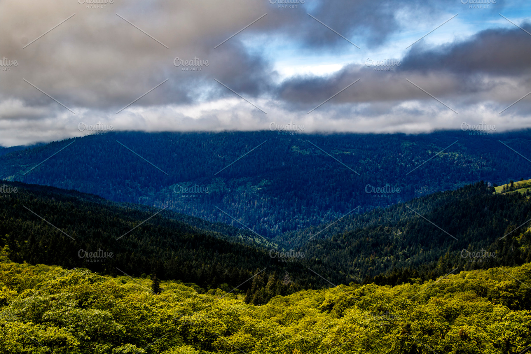 Morning Fog in the Bald Hills, a Nature Photo by Jillian Butolph