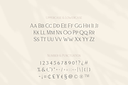 Bloomy Korea - Modern Serif Font, a Serif Font by Artchitype Studio (Thumbnail 8 of 12)