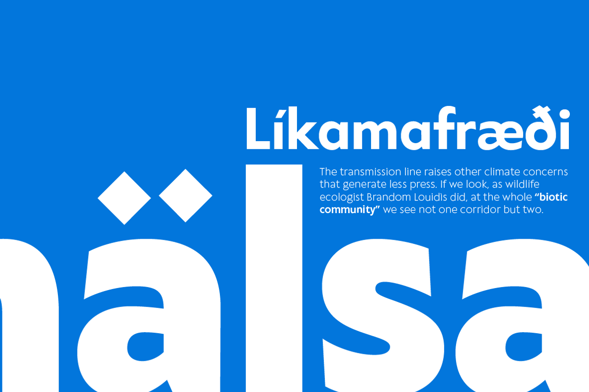 Klein - 54 fonts, a Sans Serif Font by Zetafonts (Photo 13 of 16)