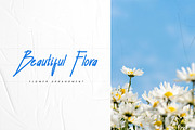Shelley - Elegant Handwritten Script, a Script Font by Luna Shop (Thumbnail 4 of 6)
