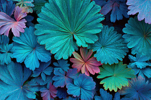 Vibrant tropical leaves in blue and pink shades, a Nature Photo by AlyaAnd