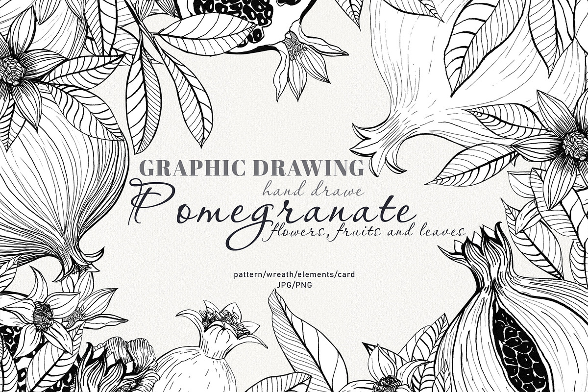 Graphic drawing pomegranate set, a Decorative Illustration by Art AleshkaK (Photo 1 of 3)
