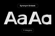 SK Synonym Grotesk — Modern Typeface, a Font by Shriftovik Type Foundry (Thumbnail 1 of 15)