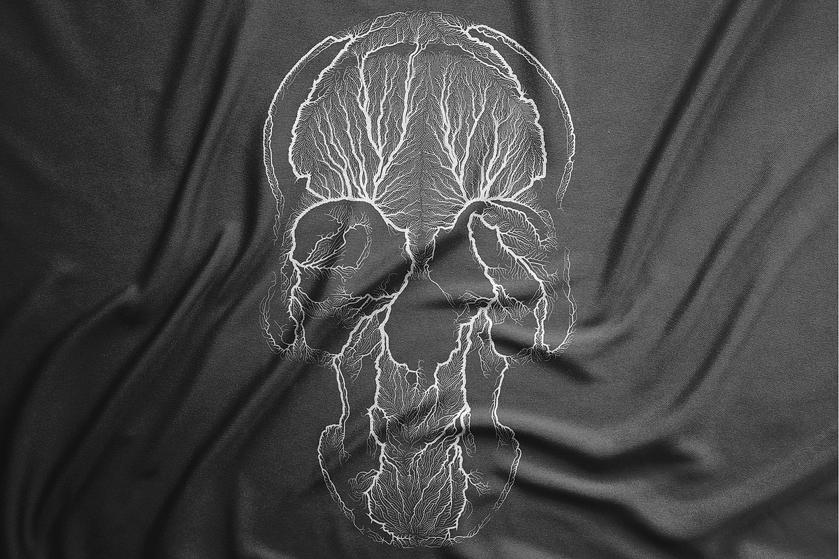 The Skull Growth, a Decorative Illustration by GarryKillian (Photo 5 of 6)
