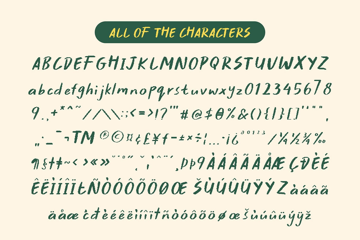 CS Brawley Pixel, a Sans Serif Font by Craft Supply Co. (Photo 8 of 8)